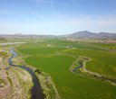 PGE and the Confederated Tribes of Warm Springs grant $1 million to the Deschutes Land Trust for Crooked River habitat restoration