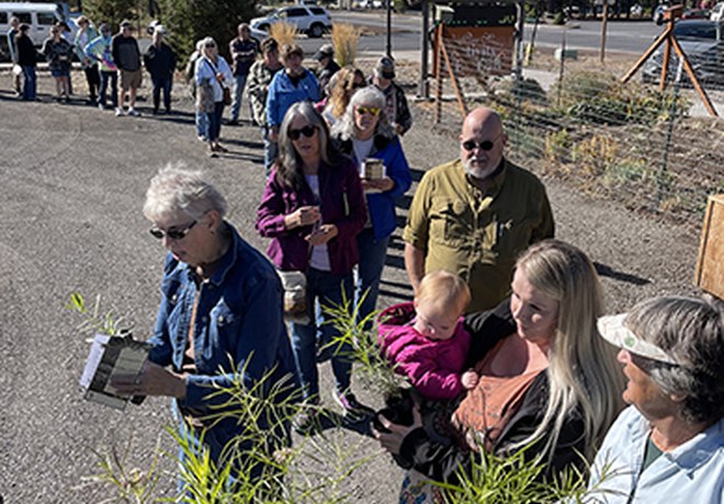 Land Trust partners with more community groups to plant milkweed for monarchs
