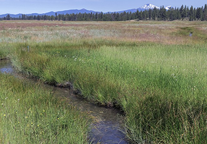 Deschutes Land Trust announces new Paulina Creek Preserve