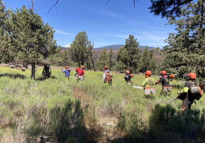 Forest Restoration in Progress at Several Land Trust Preserves