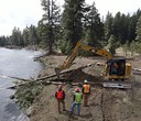More Wood at Metolius River Preserve