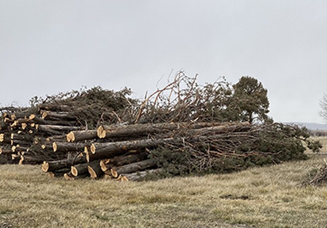 Restoration supplies begin to arrive at Ochoco Preserve