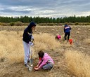 Plantings Wrap Up at Land Trust Preserves