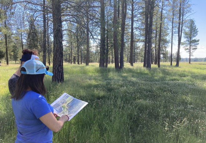 Land Trust Awarded Deschutes Trail Coalition Grant for Paulina Creek Preserve