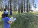 Land Trust Awarded Deschutes Trail Coalition Grant for Paulina Creek Preserve