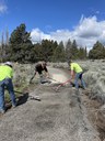 Accessibility Improvements Complete at Camp Polk Meadow Preserve