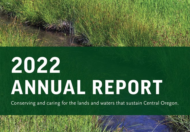 2022 Annual Report Now Available