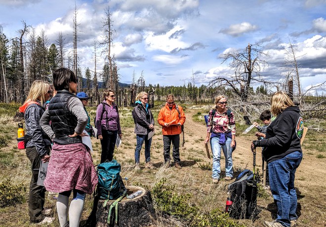 Community Vision for Skyline Forest