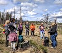 Community Vision for Skyline Forest