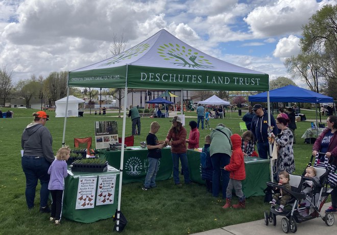 The Bulletin reports on the Festival of the Land