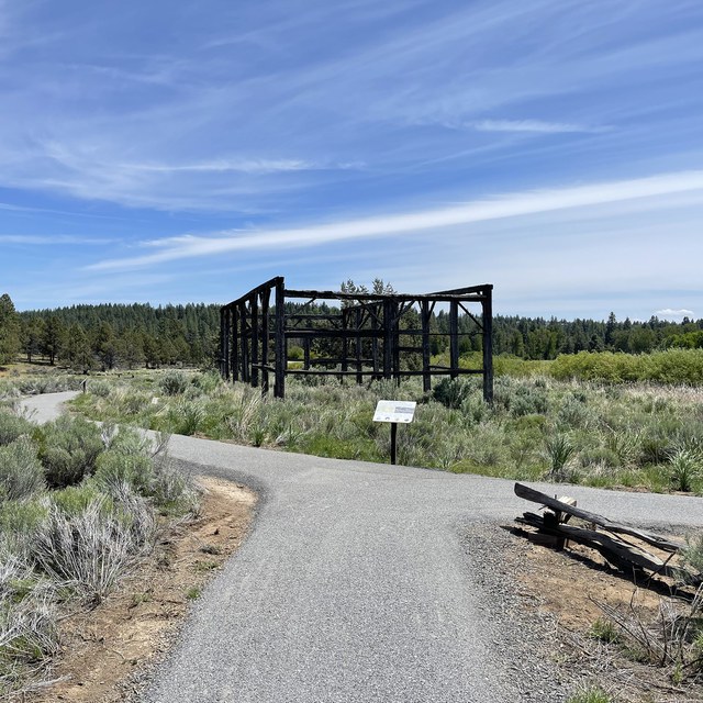 Camp Polk Meadow Preserve Trail Update