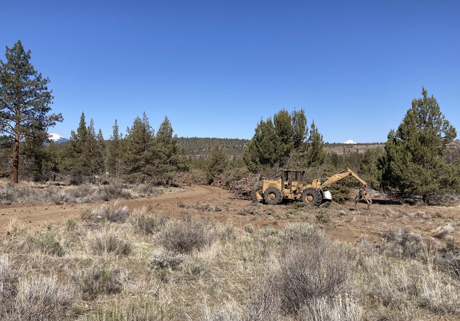 Forest Restoration Efforts Continue at Rimrock Ranch