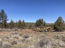 Forest Restoration Efforts Continue at Rimrock Ranch
