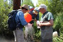 Macroinvertebrate Monitoring in Whychus Creek