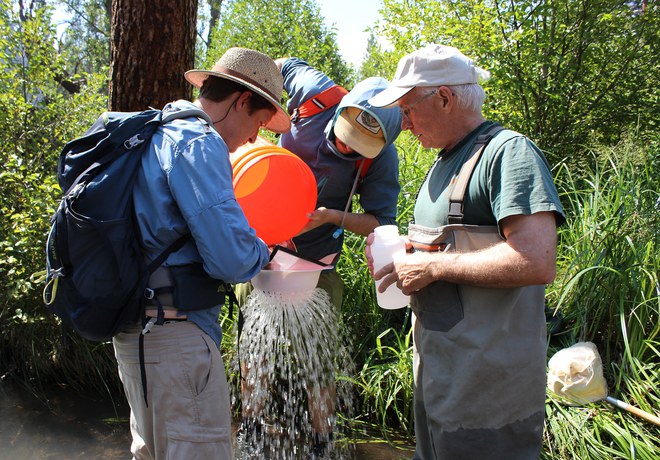 Macroinvertebrate Monitoring in Whychus Creek