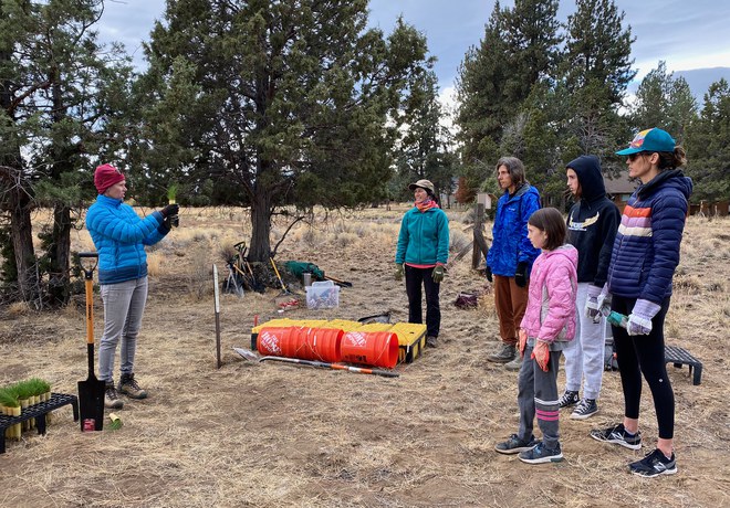 Native Plant Restoration Projects Progress