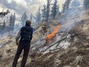 Pile Burning Continues at Land Trust Preserves