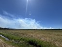 Darlene 3 Fire Near Paulina Creek Preserve