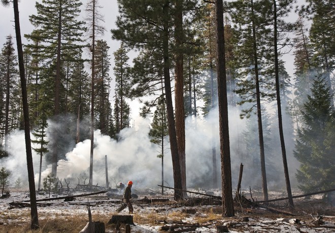 Feeling the Burn at the Metolius Preserve