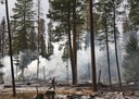 Feeling the Burn at the Metolius Preserve