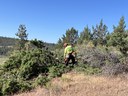 Land Trust Completes Juniper Thinning at Rimrock Ranch