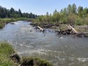 The Nugget reports on ongoing stream restoration at Willow Springs Preserve