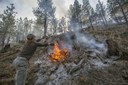 Pile Burning at Land Trust Preserves This Winter