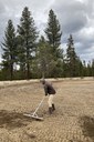 Plant Restoration at Paulina Creek Preserve Begins