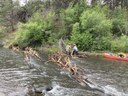 Next Phase of Willow Springs Preserve Restoration Begins