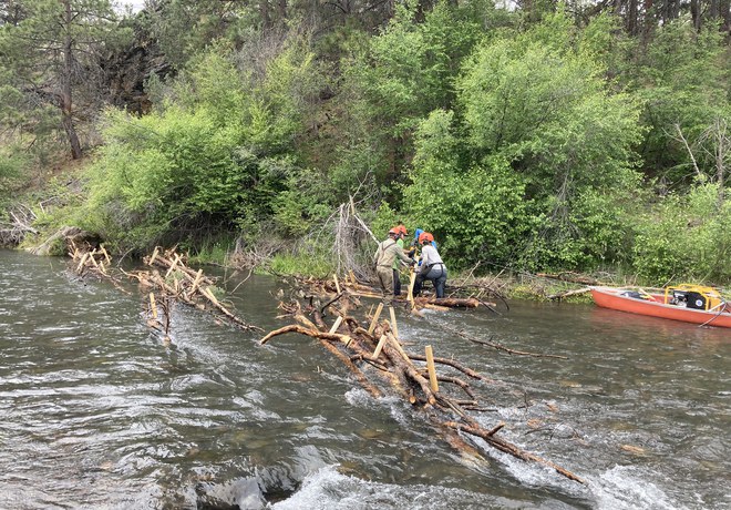 Next Phase of Willow Springs Preserve Restoration Begins