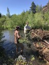 Willow Springs Preserve Restoration Moves Forward