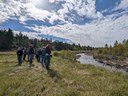 Early Spring Walks + Hikes Available