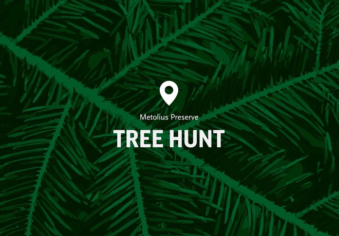 Metolius Preserve Tree Hunt Canceled