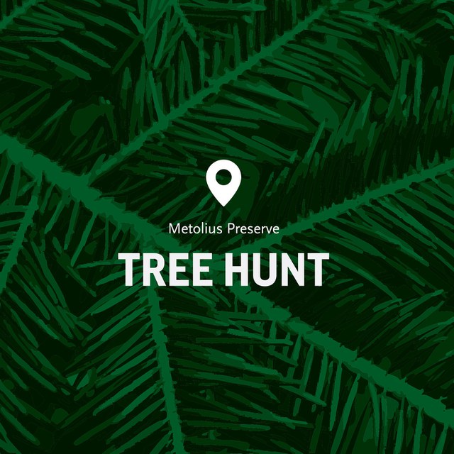 Metolius Preserve Tree Hunt Canceled Metolius Preserve Tree Hunt Canceled