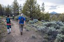 2025 Walks + Hikes Schedule Released