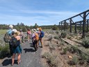Bend Bulletin reports on a visit to Camp Polk Meadow Preserve