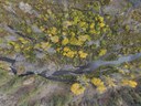 The Columbia Insight Reports Habitat restoration really works