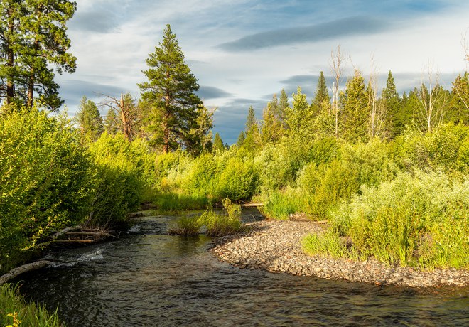 Join the Land Trust for Our Earth Month Challenge