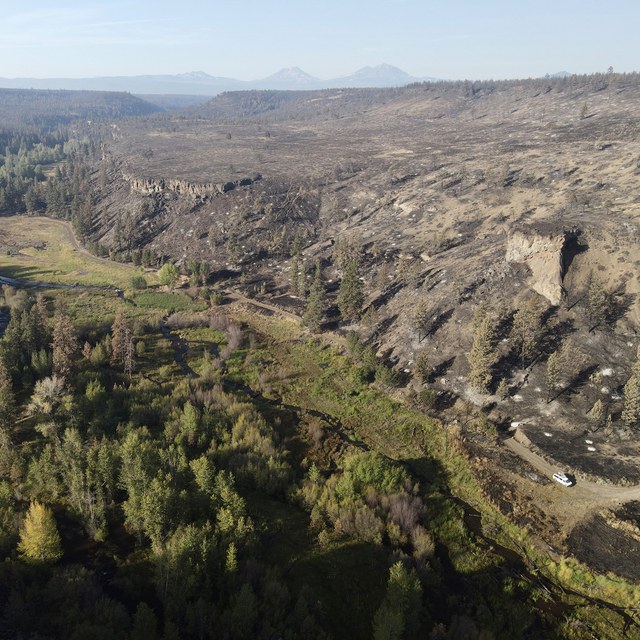 Fire Recovery Update