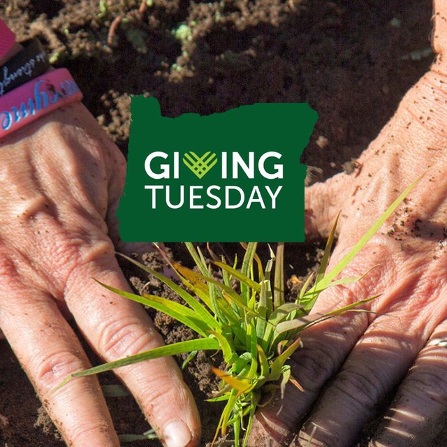 Double Your Impact with the Land Trust on Giving Tuesday