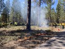 Prescribed Burn Update for Metolius Preserve