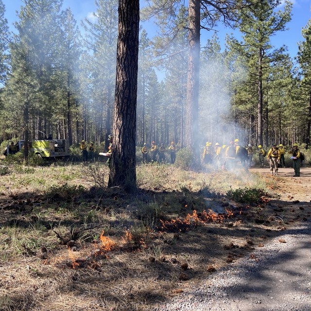 Prescribed Burn Update for Metolius Preserve