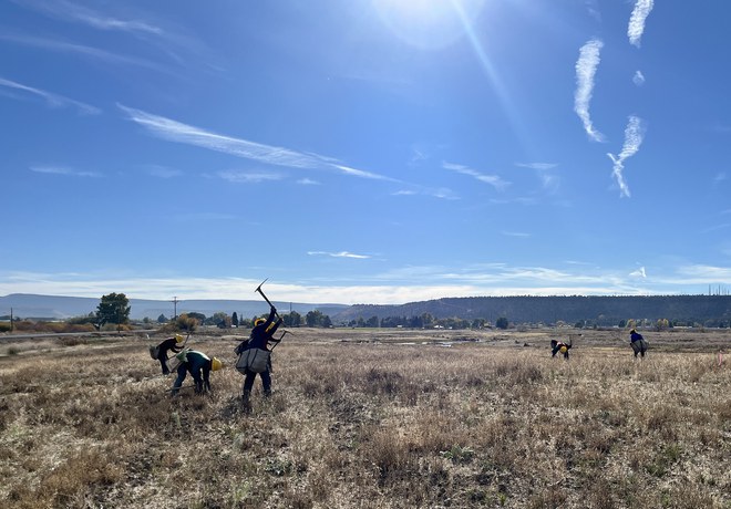Ochoco Preserve Update