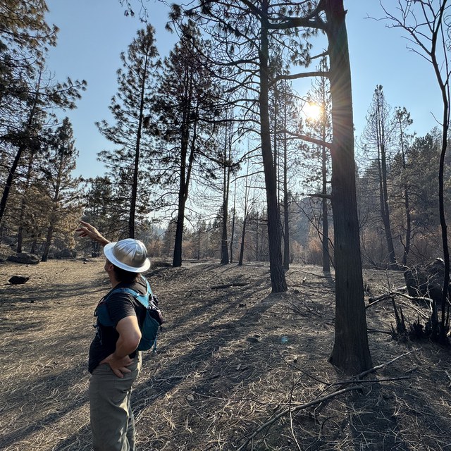 October Fire Recovery Update