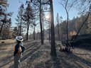 October Fire Recovery Update