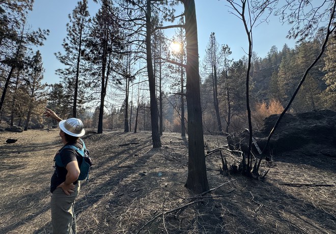 October Fire Recovery Update