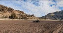 Plant Restoration at Multiple Preserves This Winter