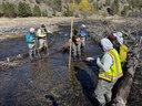 Spawning Nests Found at Rimrock Ranch