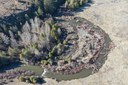 Willow Springs Preserve Restoration Update Willow Springs Preserve Restoration Update