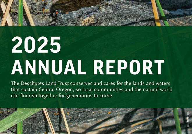 2025 Annual Report Now Available